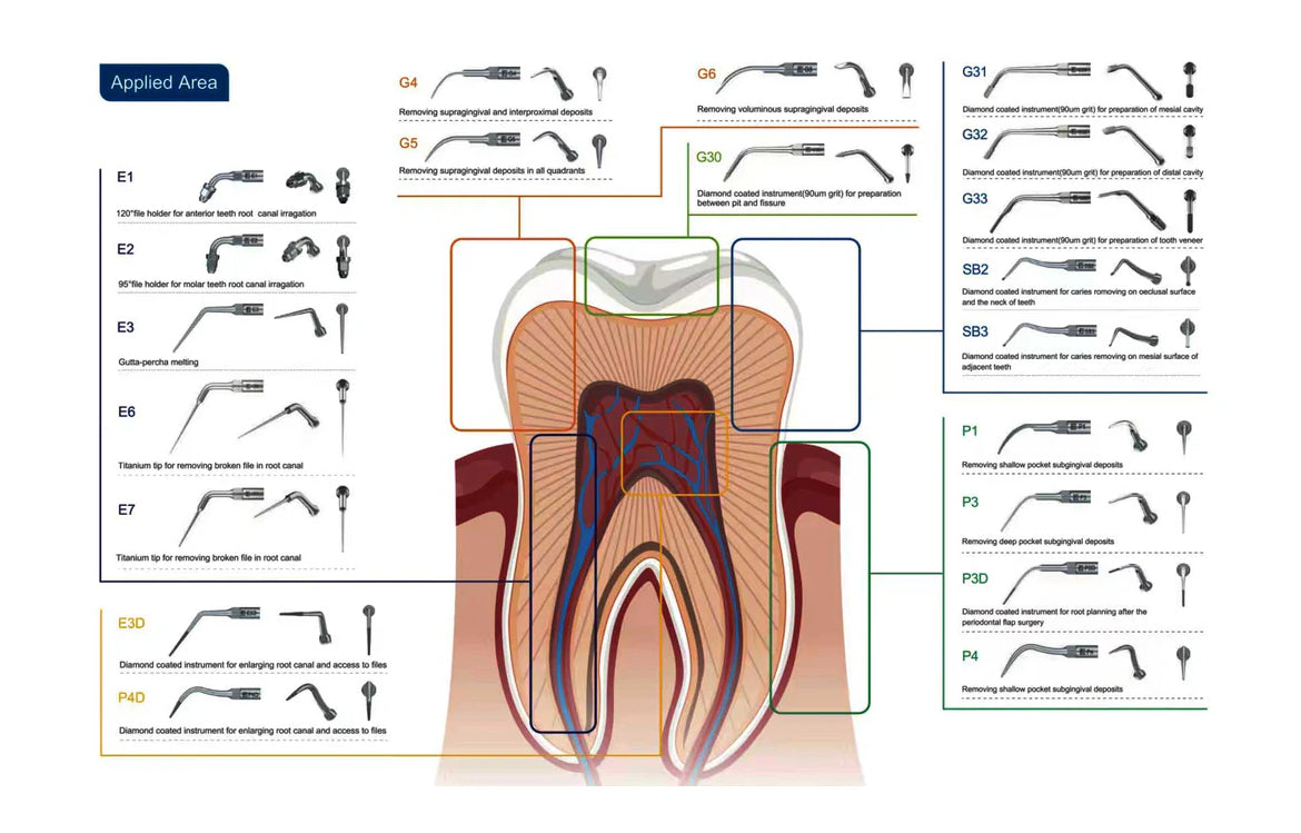Dental Ultrasonic Scaler Tips Compatible with EMS & Satelec SB1,SB2,SB3,SBL,GD1,GD2,GD3,GD4,GD5,GD6,PD1,PD3,PD4