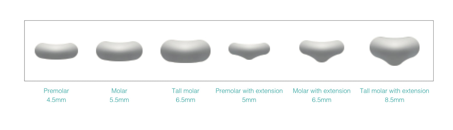Dental Matrix Refill Sectional Contoured Metal Matrices M10