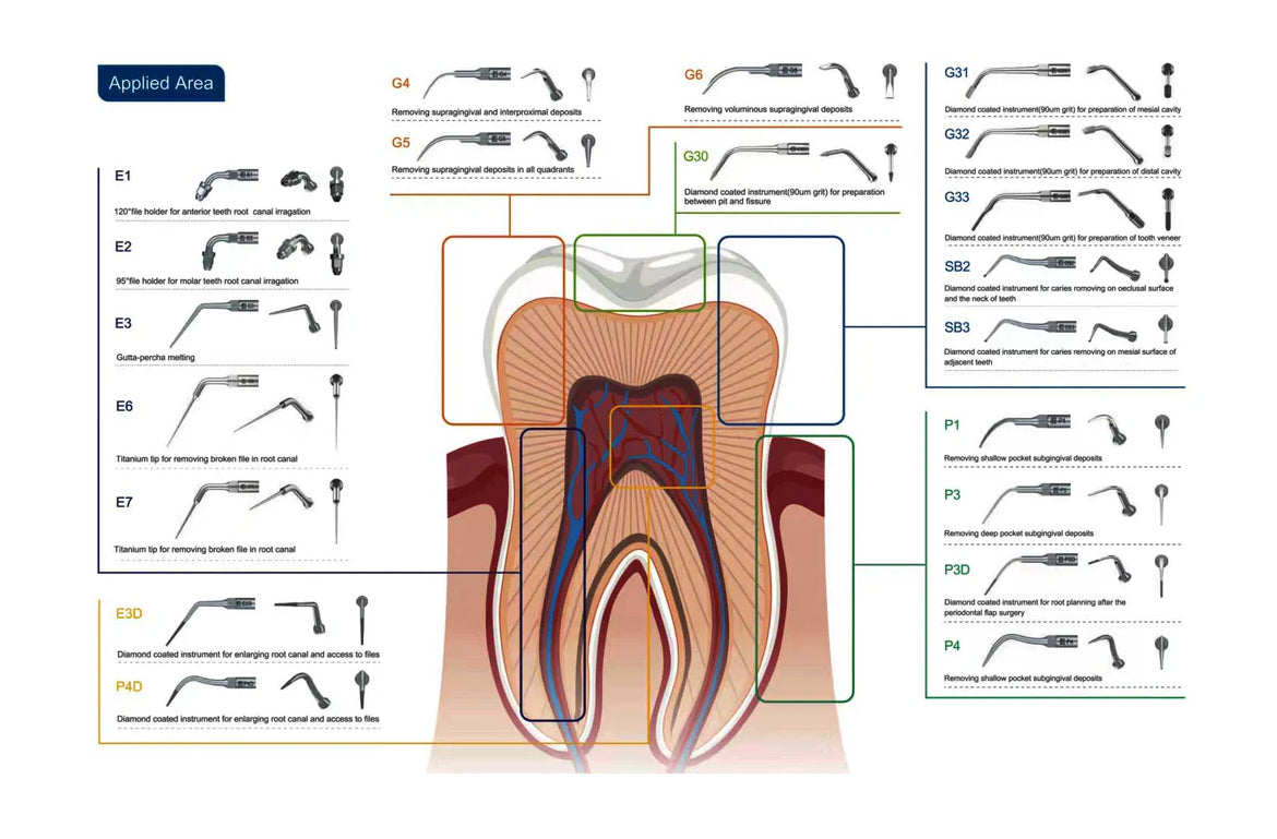 Dental Ultrasonic Scaler Tips Compatible with Satelec, NSK, DTE ED1 , ED2 , ED3 , ED4 , ED5