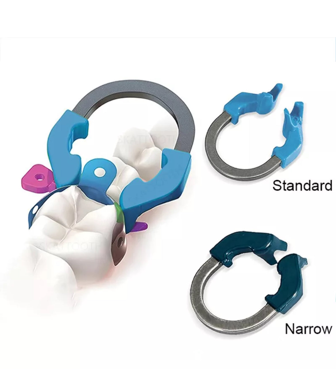 Dental Sectional Matrix System C2  D2