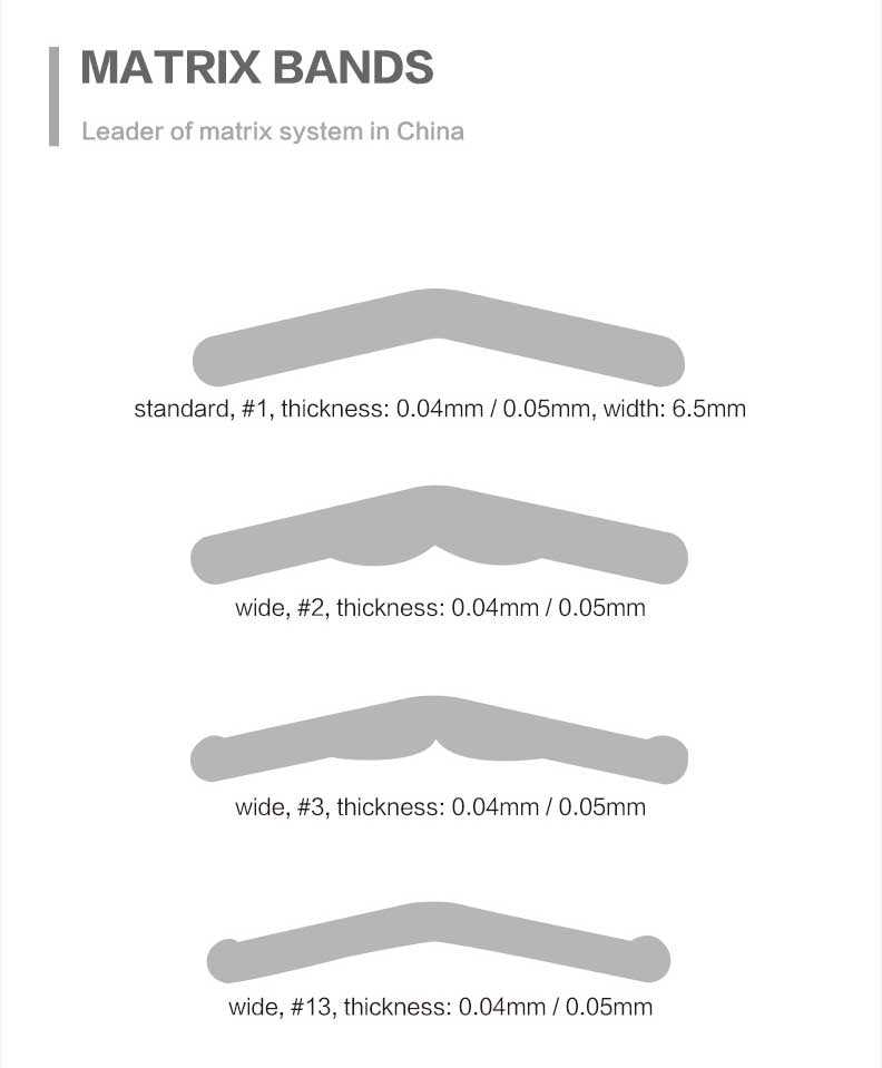 Dental Tofflemire Matrics Matrix Bands