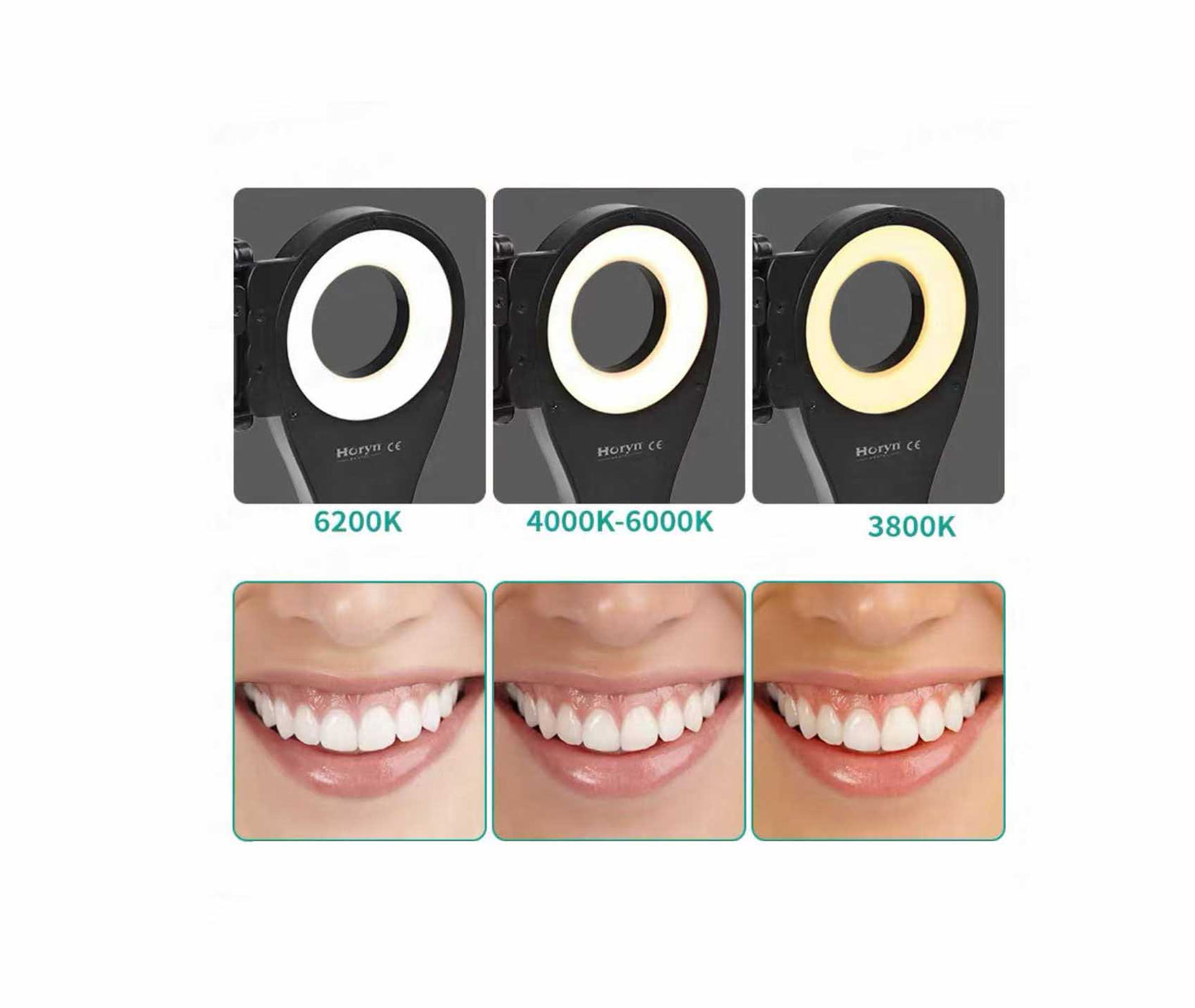 Oral Specific LED Filling Photography Flashlight