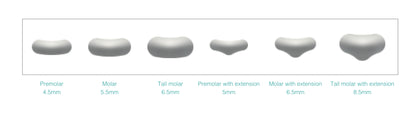 Dental Matrix Refill   Sectional Contoured Metal Matrices   M10