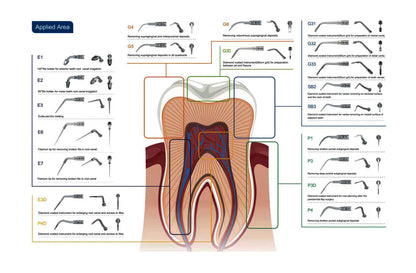 Dental Ultrasonic Scaler Tips  Compatible with Satelec,  NSK, DTE  ED1 , ED2 , ED3 , ED4 , ED5