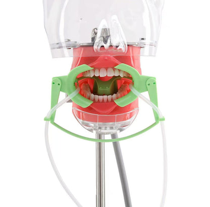 Dental Ortho Nola Cheek Retractor Dry Field System Mouth Opener1qar