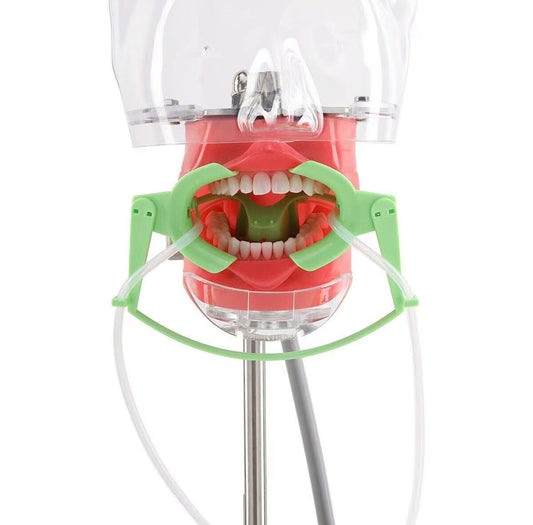 Dental Ortho Nola Cheek Retractor Dry Field System Mouth Opener1qar