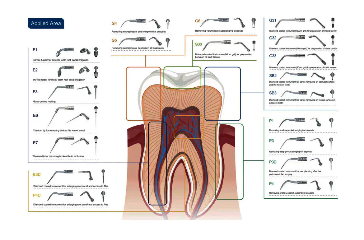 Dental Ultrasonic Scaler Tips  Compatible with : EMS ,  Woodpecker ,  UDS series G1--G6, P1, P3, P4, P4D P